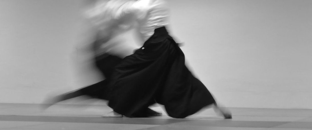 Démonstration d'arts martiaux